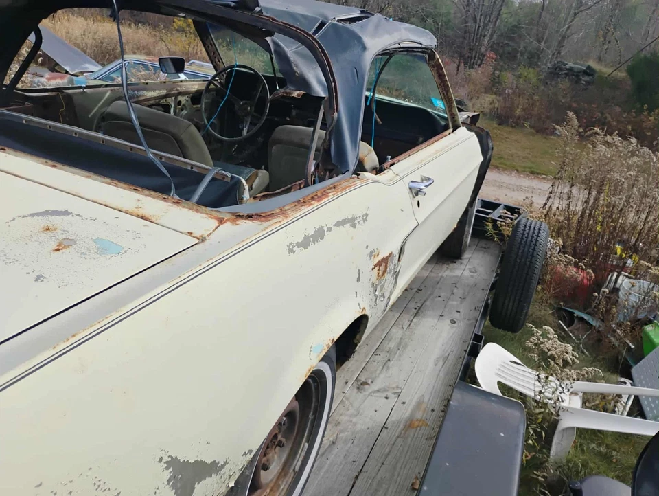 Ford Mustang 1967 Foto 3 de 4