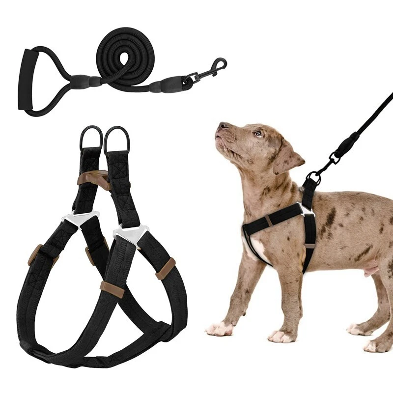 No-pull Dog Pet Training Harness with 2 Handle & Free 5 PCS Tag