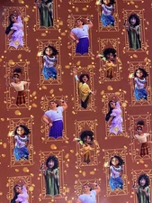 Disney ENCANTO Movie Birthday Party Wrapping Paper 20 sq ft Mirabel Isabela Gift