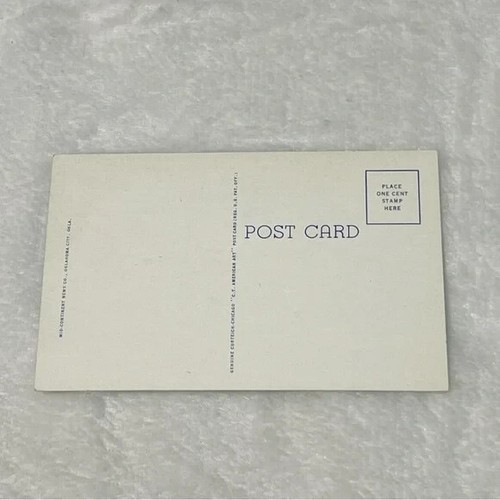 Postal Buffalo on the Wichita Game Reserve Lawton Oklahoma Vintage B149 - Imagen 2 de 2