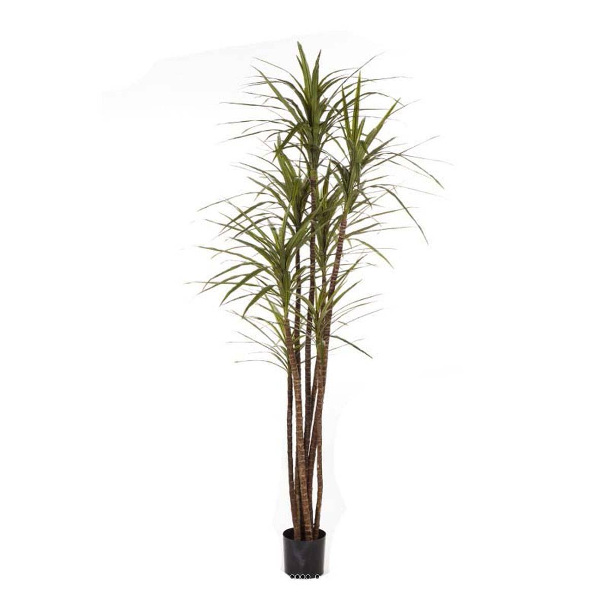 Dracaena magenta artificiel H 120 cm avec 141 feuilles réalistes en pot noir