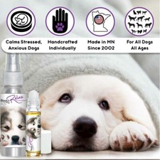 Great Pyrenees Relax Dog Aromatherapy  Calms Frightened, Anxious Dogs Naturally