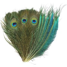 Pfauenfedern Bastel Federn 40 Stück DIY Deko Masken Kostüm Party Schmuck