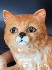 VTG  Beswick England Persian Cat Figurine Ginger Orange Gloss Finish No. 1876  — photo 8