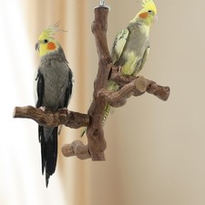 Wooden Bird Perch Cage Top Wood Tree Perch Parrot Play Stand Multi Branch Perch