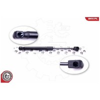 2X Gasfeder Kofferraum Hinten FüR Audi A4 8H 3.0 3.1 4.2 02 Bis 09 Esen ASB BBK