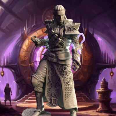 Dark Elf Sorcerer Miniature | Paintable 3D Printed Minis | DM Stash
