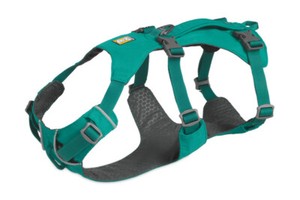 teal dog harness