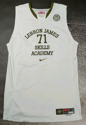 lebron james skills academy