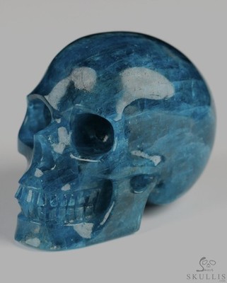 Skullis 2.0'' BLUE APATITE Hand Carved Crystal Skull Realistic  TOP QUALITY