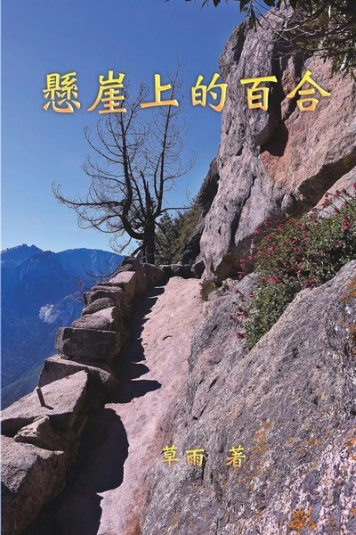 A Lily On The Cliff ¿¿¿¿¿¿ Xuhua Lucia Liang (U. A.) Taschenbuch Chinesisch 2019-image
