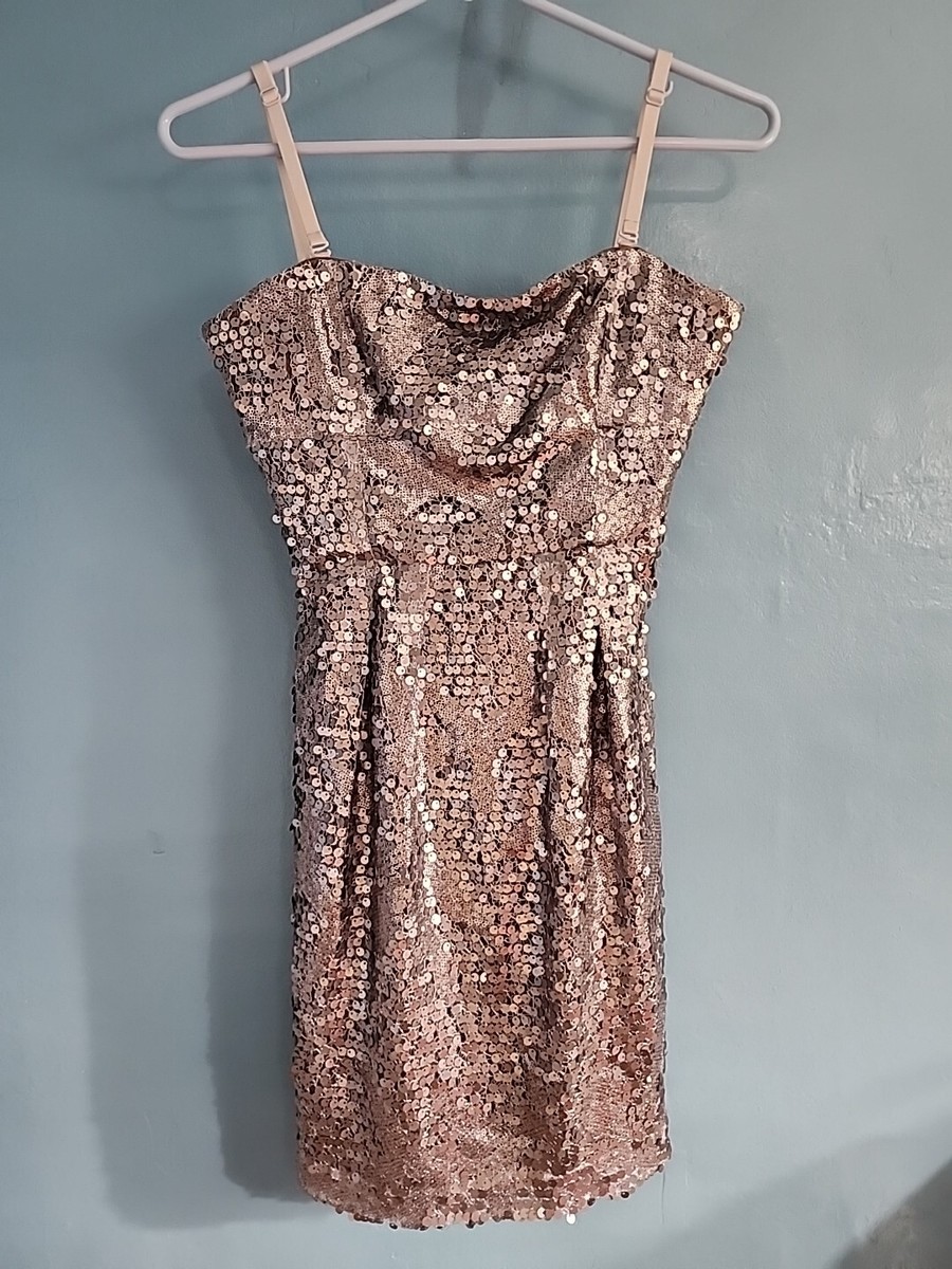 bcbg silver sequin dress Sequin Lace Gusset Gown Jasmine / 6
