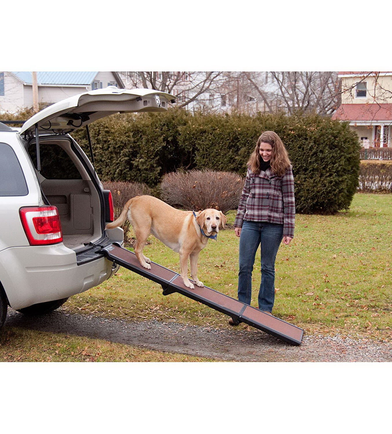 good2go dog ramp