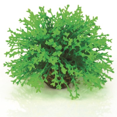 biOrb Aquarium Dekoration Deko-Pflanze künstlicher Blumenball grün