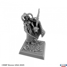CHAOS SORCERESS Reaper Miniatures Bones USA: Reaper Legends REM30228 D D