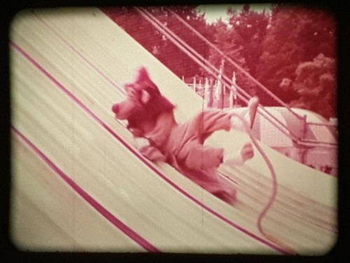 THE BANANA SPLITS & FRIENDS SHOW - Credits / Cartoon Intros / End credits - 16mm - Picture 4 of 22