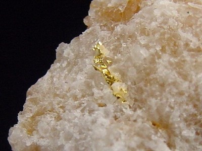 Gold kristallin in Quarz / Goldstufe 25 mm Brusson, Val d'Aosta, Italien (5817t)