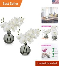 Maintenance-Free Artificial Orchid Arrangement - 2 Packs in Stunning Black Vase