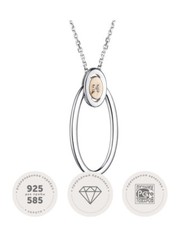 Real Silver 925 Pendant Charm with Necklace 40-45cm with Diamond & Rose Gold 585