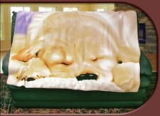 Sleeping Puppy, 3D Art, Throws Soft Blanket Couch Blanket Throw 48"x 63"  