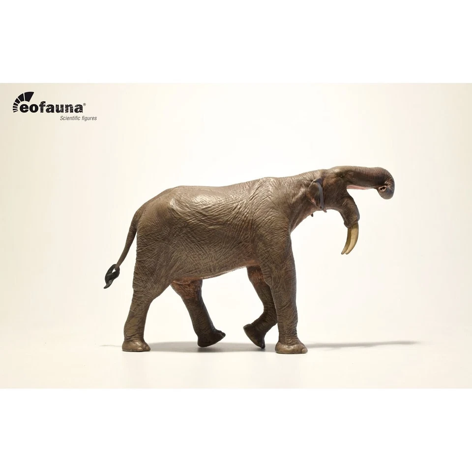 Eofauna Deinotherium giganteum model 1:35 Scale - Modello elefante preistorico - Immagine 3 di 3