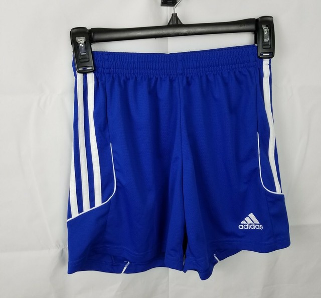 squadra 13 shorts