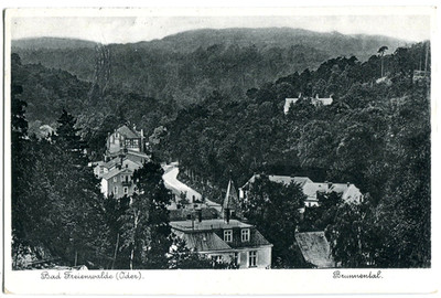 Postcard Bad Freienwalde/Or Brunnental around 1930