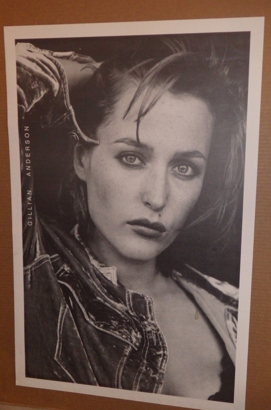 Gillian Anderson X-Files Model Pinup 23x35" Dana Scully Full Size Celeb Poster