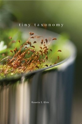 Rosetta S. Elkin Tiny Taxonomy (Gebundene Ausgabe) (US IMPORT)