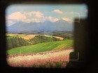 Bild 18 von 18