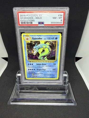 2016 Pokemon Gyarados Holo XY Evolutions #34 PSA 8
