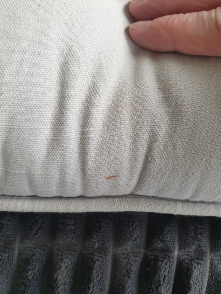 Pair Of Grey Dunelm Seat Pads Cushions eBay