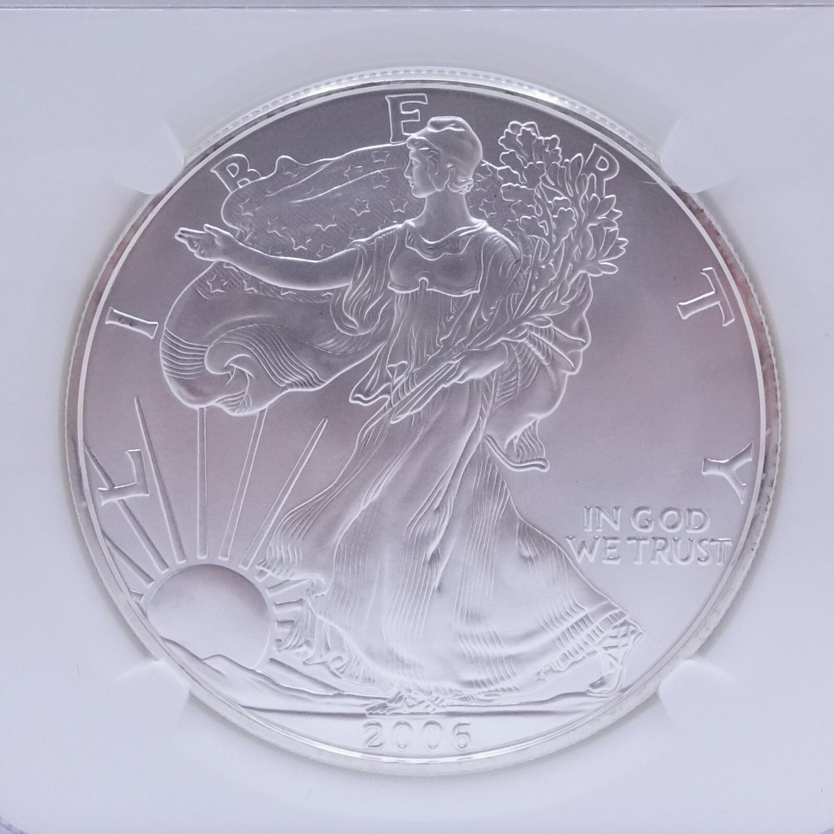 2006 American Eagle Silver $1 Dollar Coin - NGC MS 69 | eBay