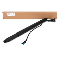 Diederichs HeckklappendäMpfer Elektrisch FüR Bmw X6 F16 F86 Links 51247434043