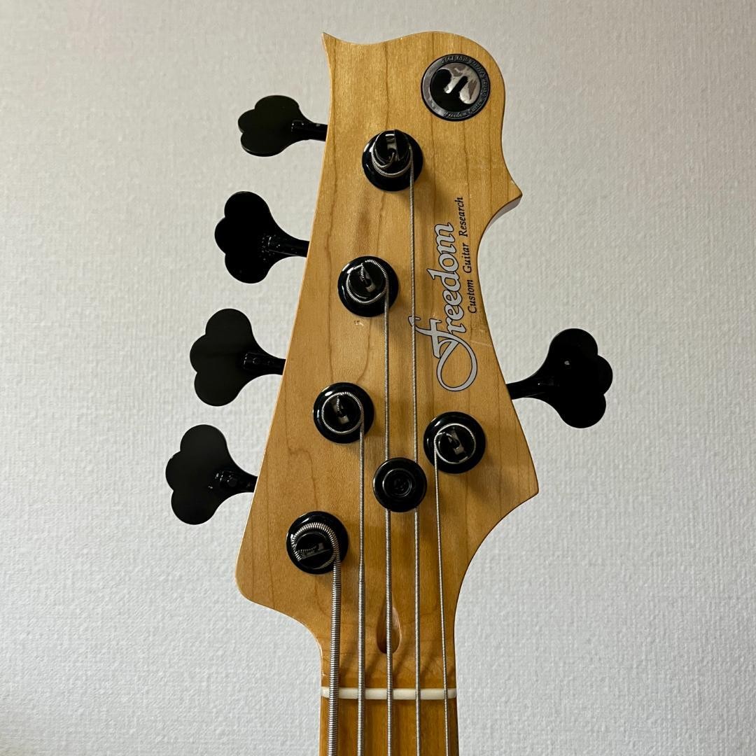 Electric Bass Guitar Freedom Custom Guitar Research Rhino 5st