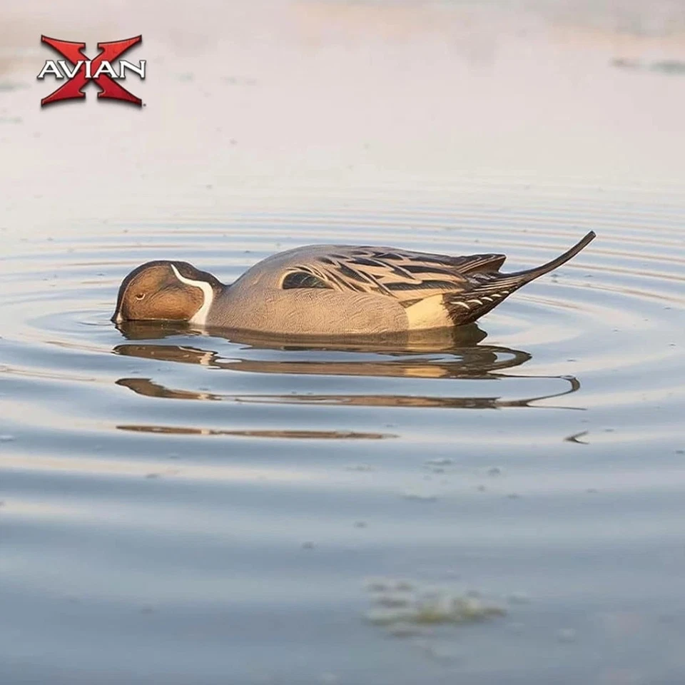 Avian-X Power Shaker Pintail Surface Feeder Floating Duck Decoy - Durable Foa... - Image 3 of 4