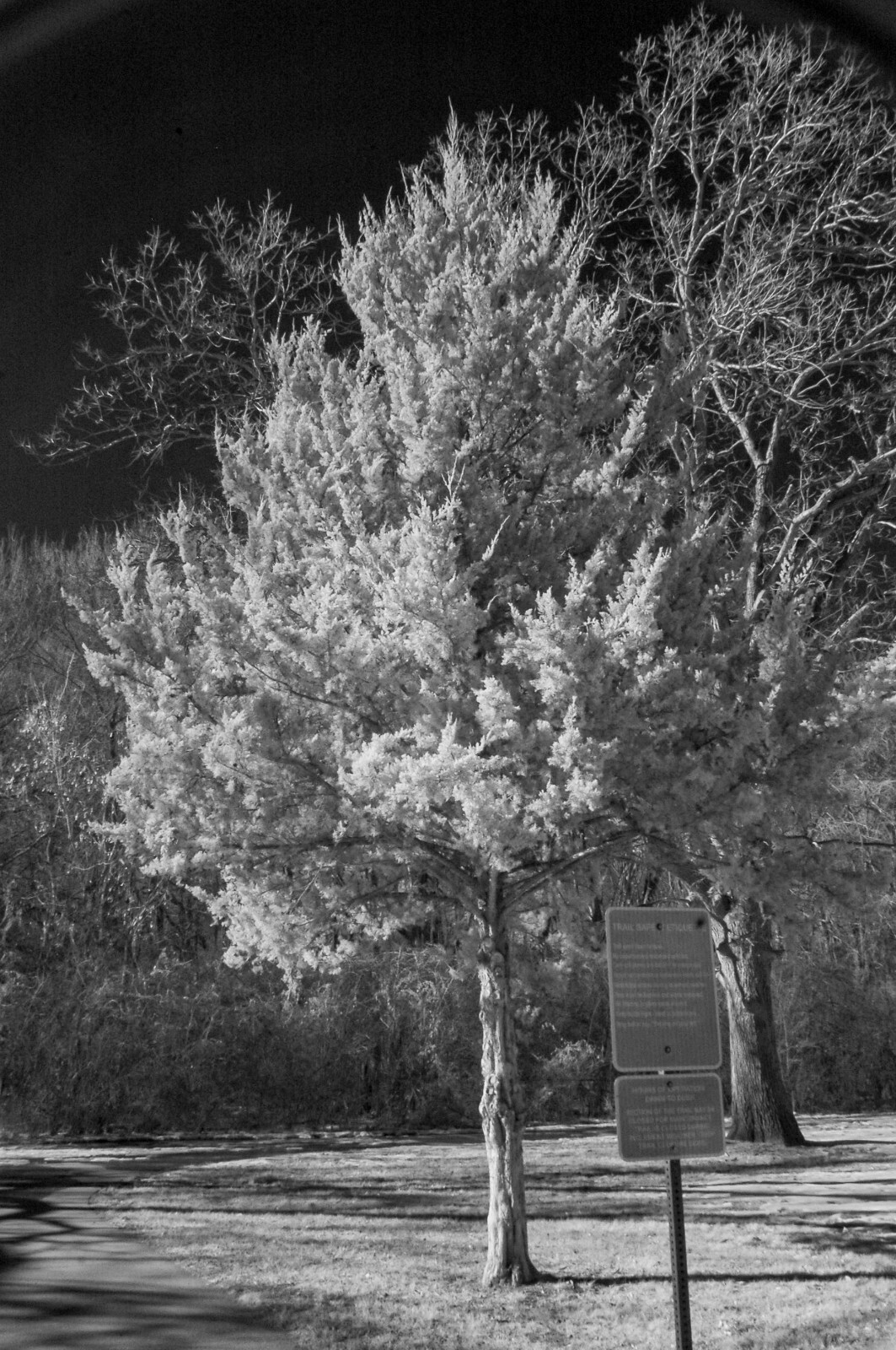 Picture 17 of 19