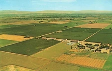 Aerial View of Hop Ranch - Yakima River Valley - Eastern Washington WA Postcard