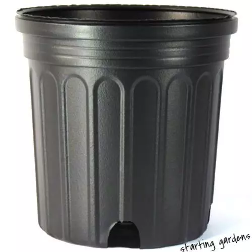 3 on sale gallon pot