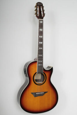 Indra-s-SB, 41` Westerngit., EQ-Fishman, Decke: Fichte massiv, B&Z: Palisander,