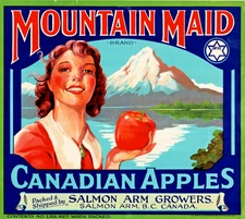 MOUNTAIN MAID Brand Canadian Apples Original Fruit Crate Label Salmon Arm, B.C.