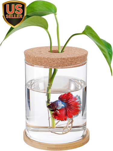 Desktop Fish Bowl Glass- Small Betta Fish Tank with Lid, Clear Hydroponic Plant