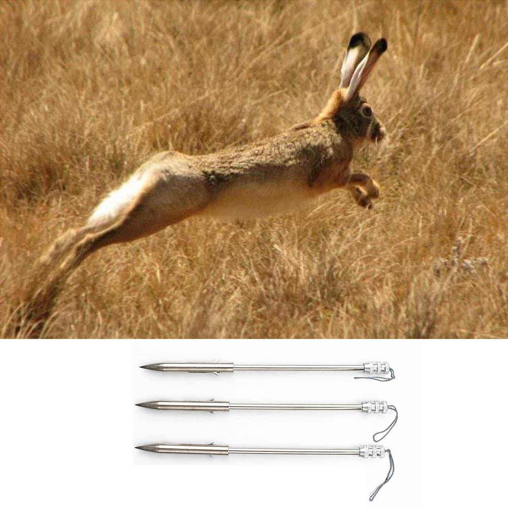 Slingshot Hunting Rabbit