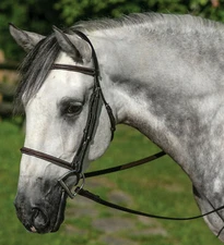 Gatsby English Horse Raised Havana Brn Leather Bridle Horse Cob or Warmblood sz