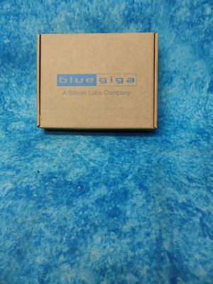 Silicon Labs Blue Giga DKWT32i Development Kit