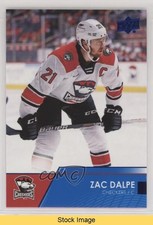 2021-22 Upper Deck AHL Blue Zac Dalpe #48 READ 0p0t