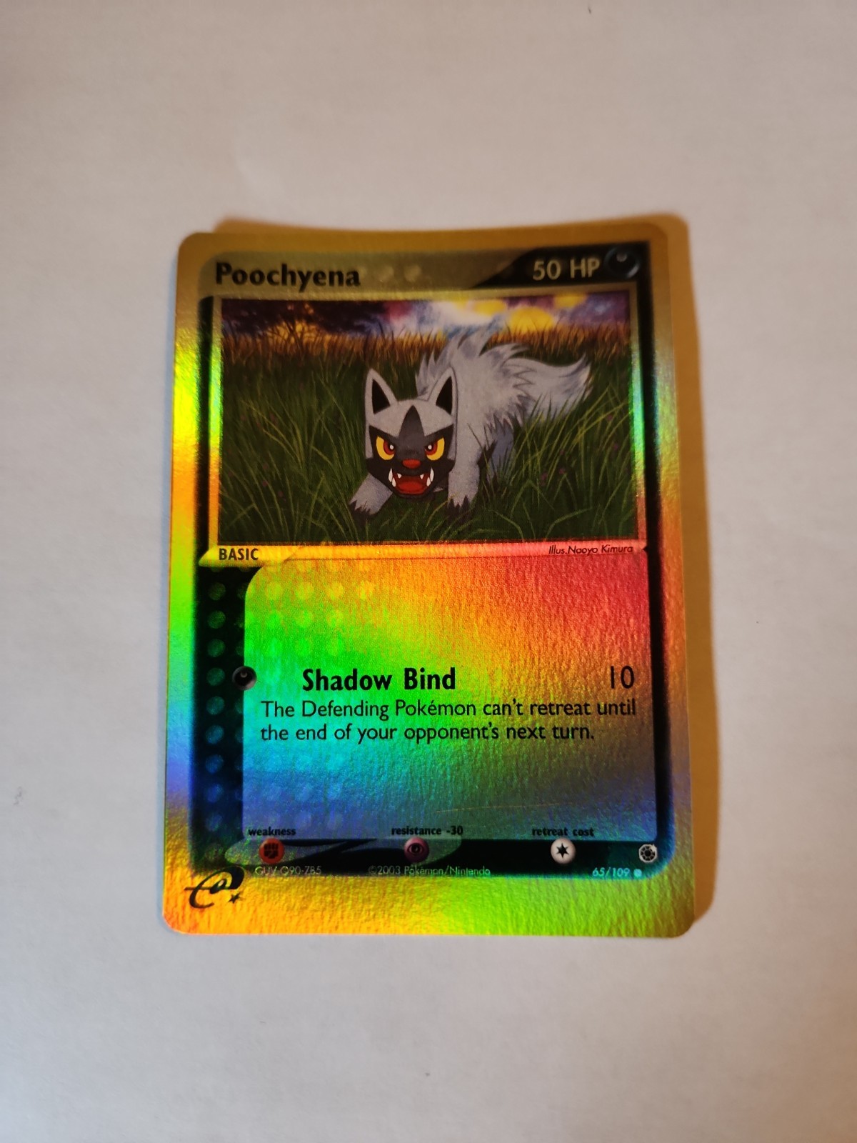 Poochyena 65/109 Ruby and Sapphire Reverse Holo
