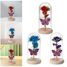 Valentines Day Gifts for Her Preserved Flower Creative Romantic Anniversary