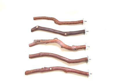 Manzanita Bird Perches Five Pack  All- Natural Oven Cured * Very Sweet Deal