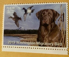 2019  Washington State Duck Stamp Mint Never Hinged. Original Gum 